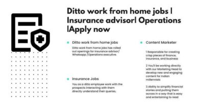 Ditto work from home jobs Insurance advisor Operations Apply now (1)