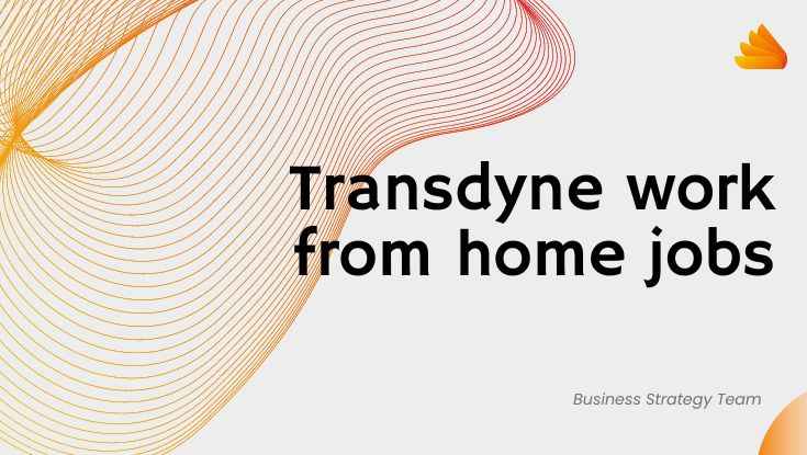 Transdyne work from home jobs for freshers apply now 2023 (1)