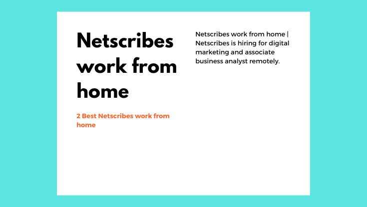 2 Best Netscribes work from home for manager & analyst apply now (1)